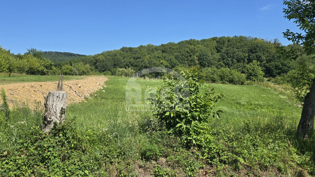 Krásny stavebný pozemok v obci Trnava pri Laborci