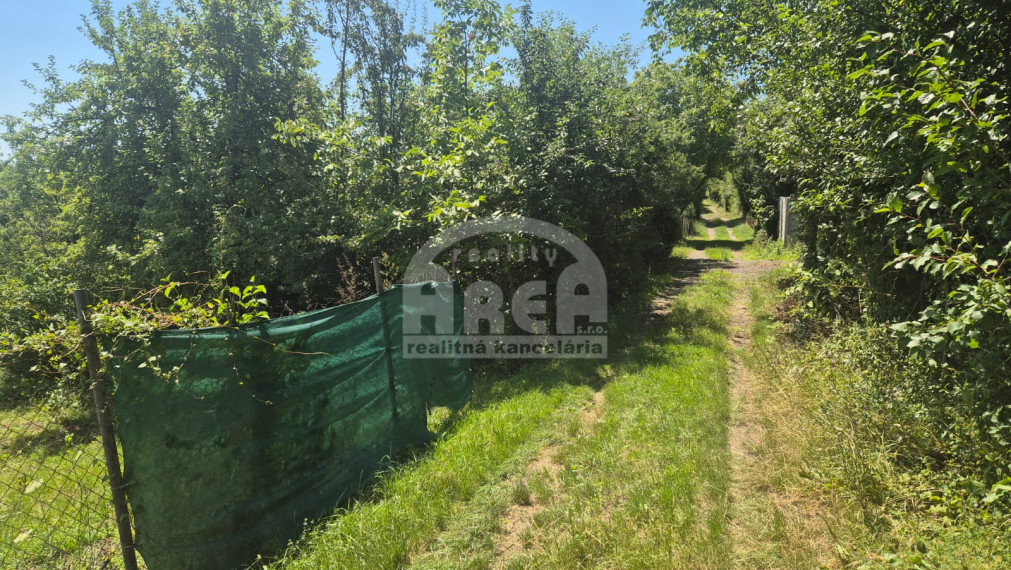 Pozemok v záhradkárskej oblasti Sečovce, časť Vinice