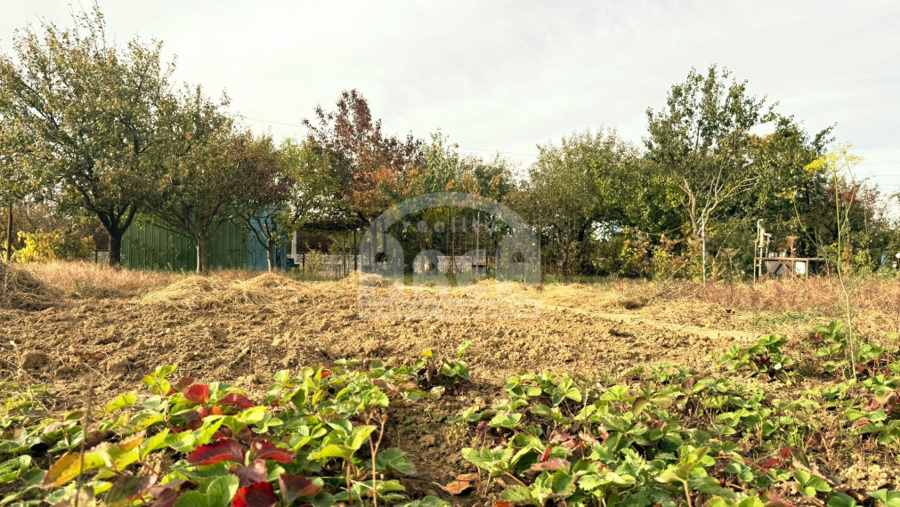 Krásna záhradka na Továrenskej ulici v Michalovciach