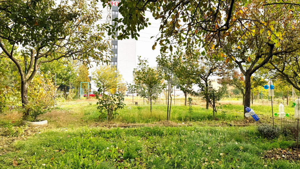 Krásna záhradka na Továrenskej ulici v Michalovciach