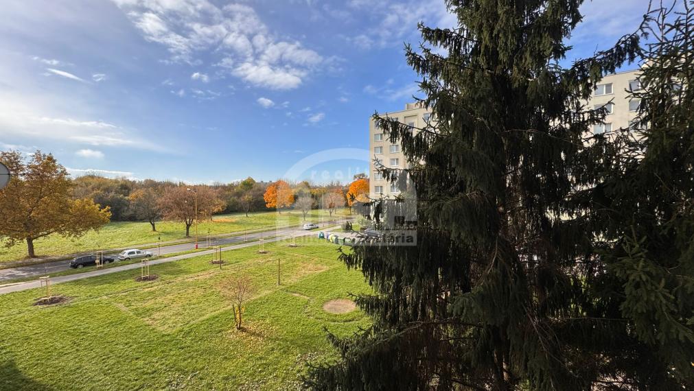 Na prenájom 1- izbový byt, sídlisko Stráňany v Michalovciach