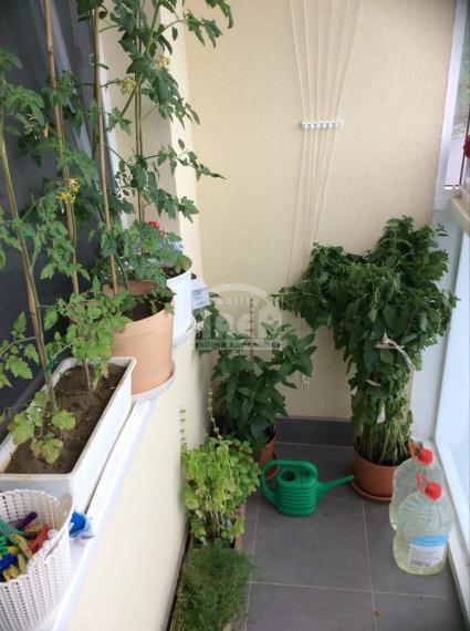 Na prenájom 4- izbový byt na sídlisku SNP v Michalovciach