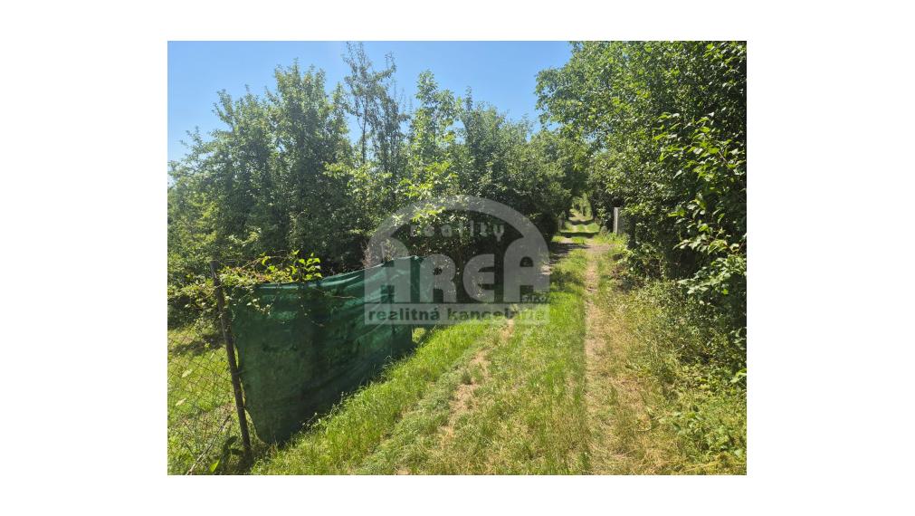 Pozemok v záhradkárskej oblasti Sečovce, časť Vinice