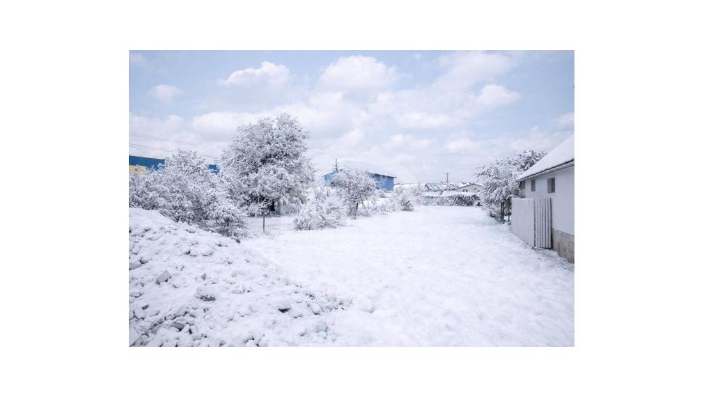 Rodinný dom vhodný na podnikateľské účely, Sobrance