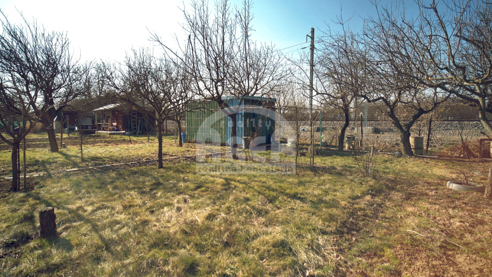 Krásna záhradka na Továrenskej ulici v Michalovciach