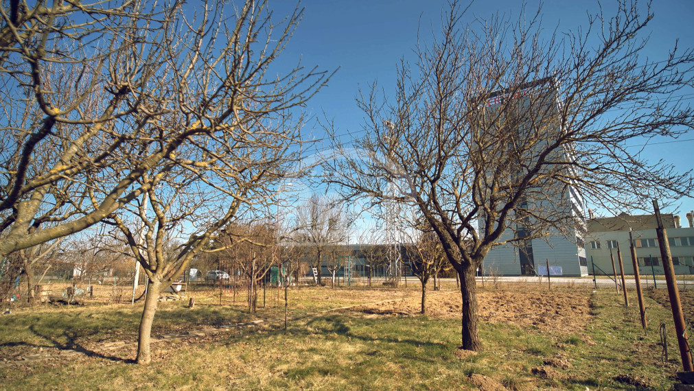 Krásna záhradka na Továrenskej ulici v Michalovciach