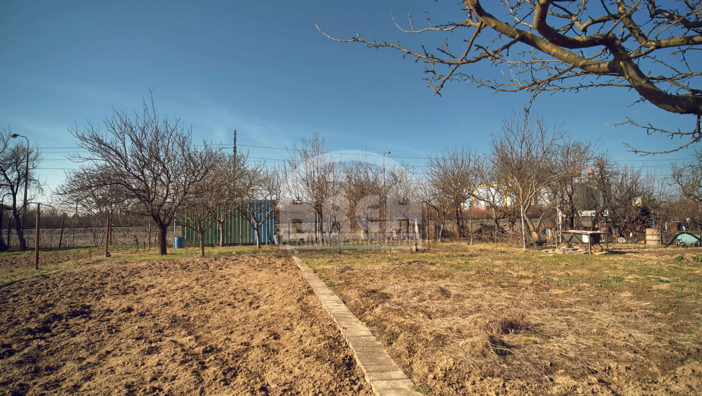 Krásna záhradka na Továrenskej ulici v Michalovciach