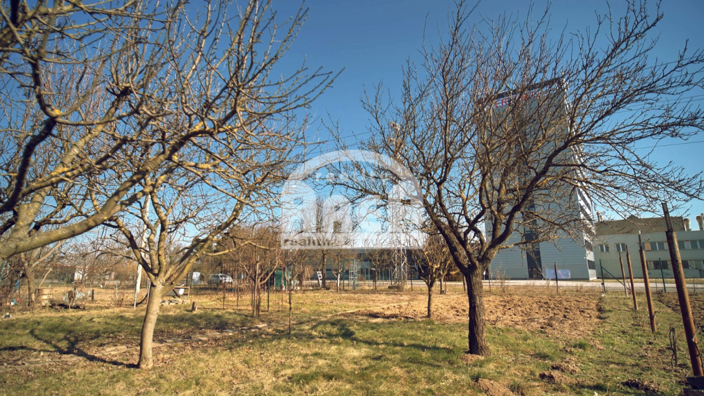 Krásna záhradka na Továrenskej ulici v Michalovciach