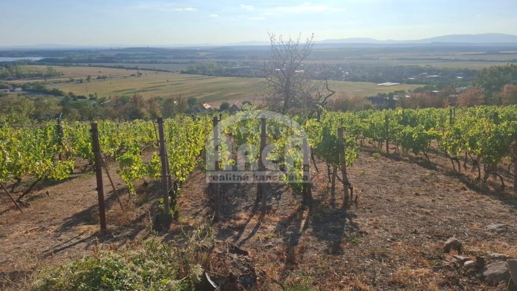 Vinohradnícka idylka nad obcou Vinné