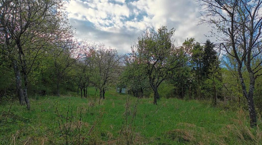 Pozemok s celkovou výmerou 2949 m2 v kat. území obce Kaluža