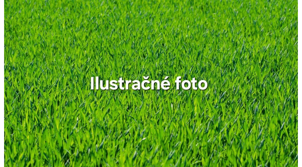 Stavebný pozemok v obci Vyšné Nemecké