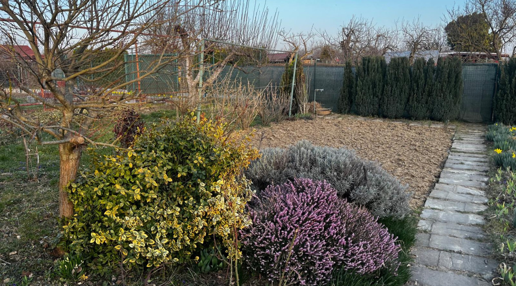 Záhradka v záhradkárskej oblasti Vrbiny v  Michalovciach