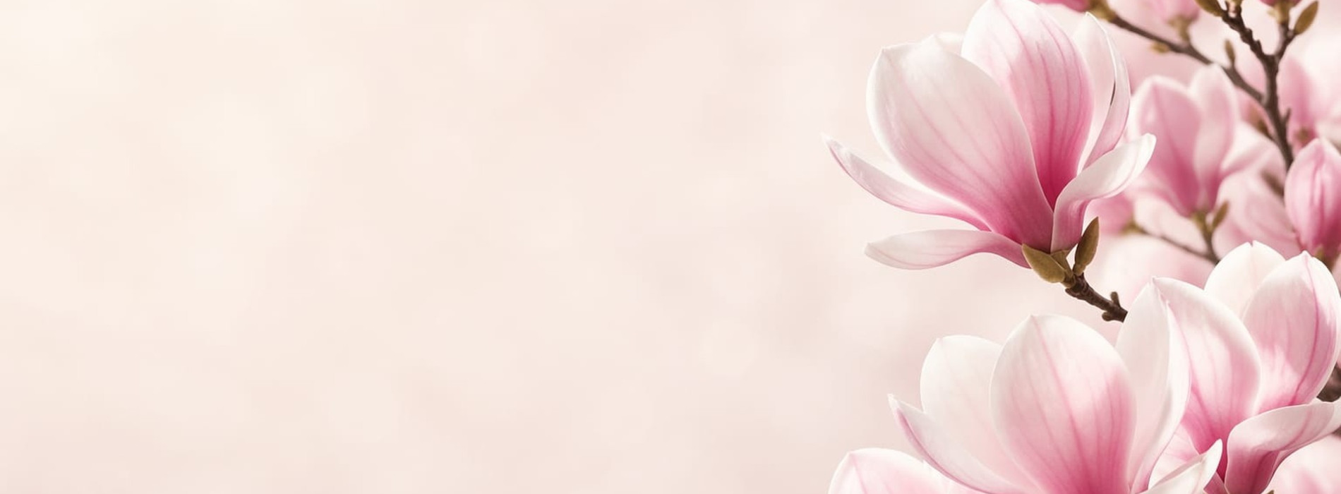 Prajeme Vám pekné jarné dni