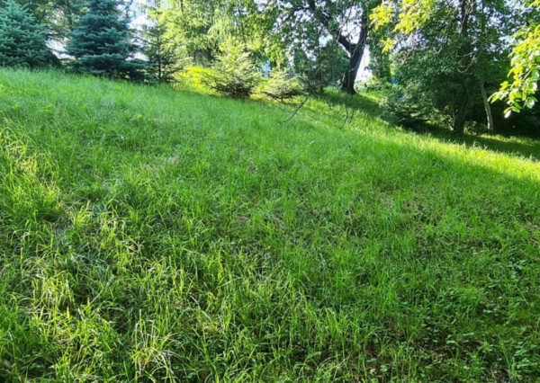 Krásny pozemok v obci Remetské Hámre