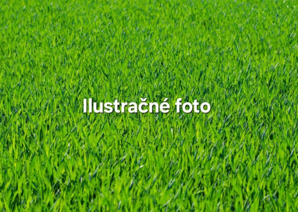 Stavebný pozemok v obci Vyšné Nemecké