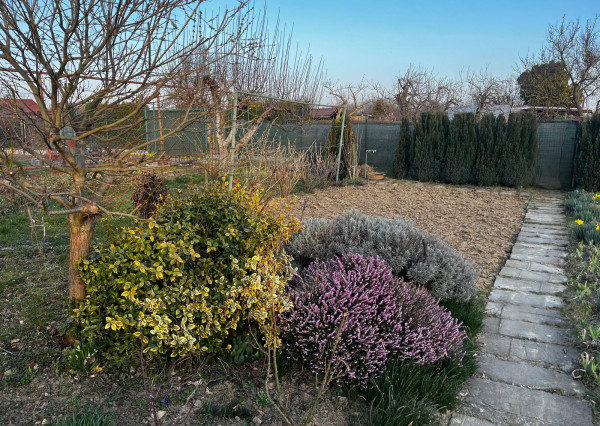 Záhradka v záhradkárskej oblasti Vrbiny v  Michalovciach