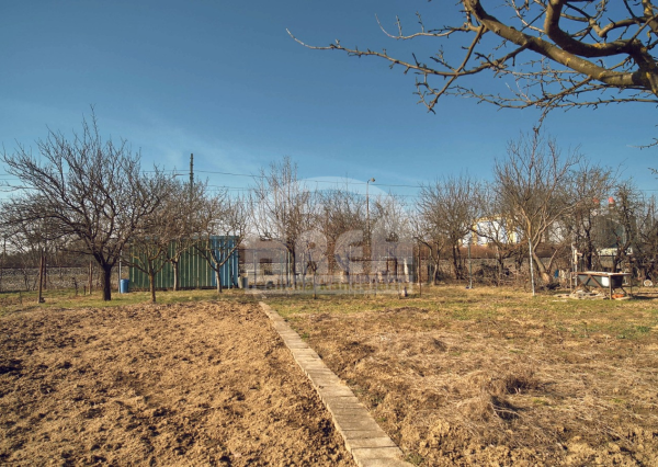 Krásna záhradka na Továrenskej ulici v Michalovciach