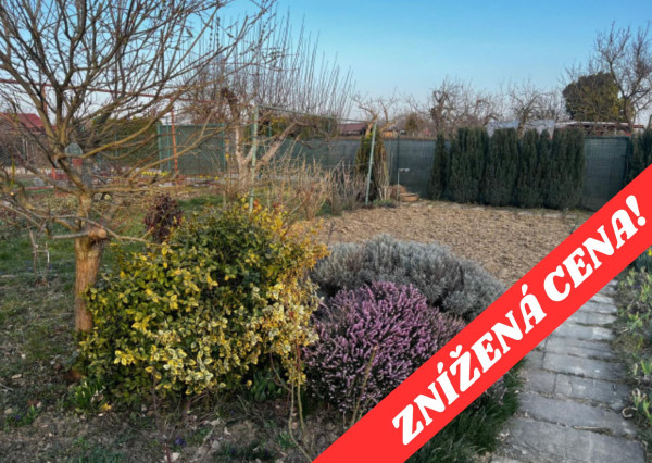 Záhradka v záhradkárskej oblasti Vrbiny v  Michalovciach
