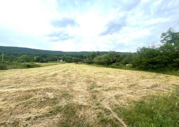 Pozemok s krásnym výhľadom v obci Vinné