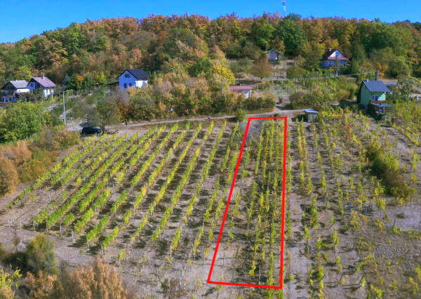 Vinohradnícka idylka nad obcou Vinné